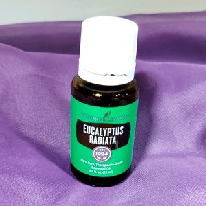 Eucalyptus Radiata Essential Oil